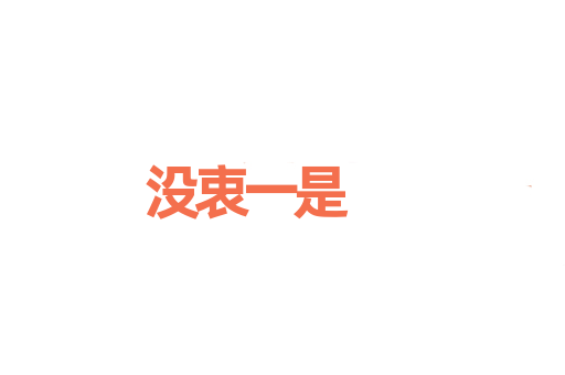 没衷一是