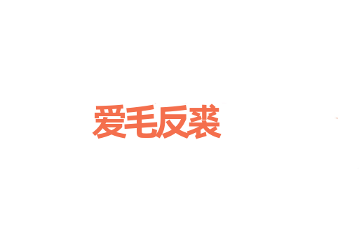 爱毛反裘